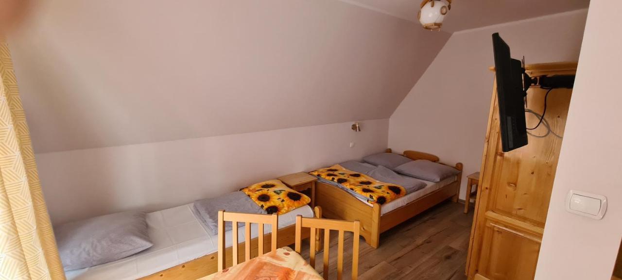 Willa Agatka Zakopane Kültér fotó
